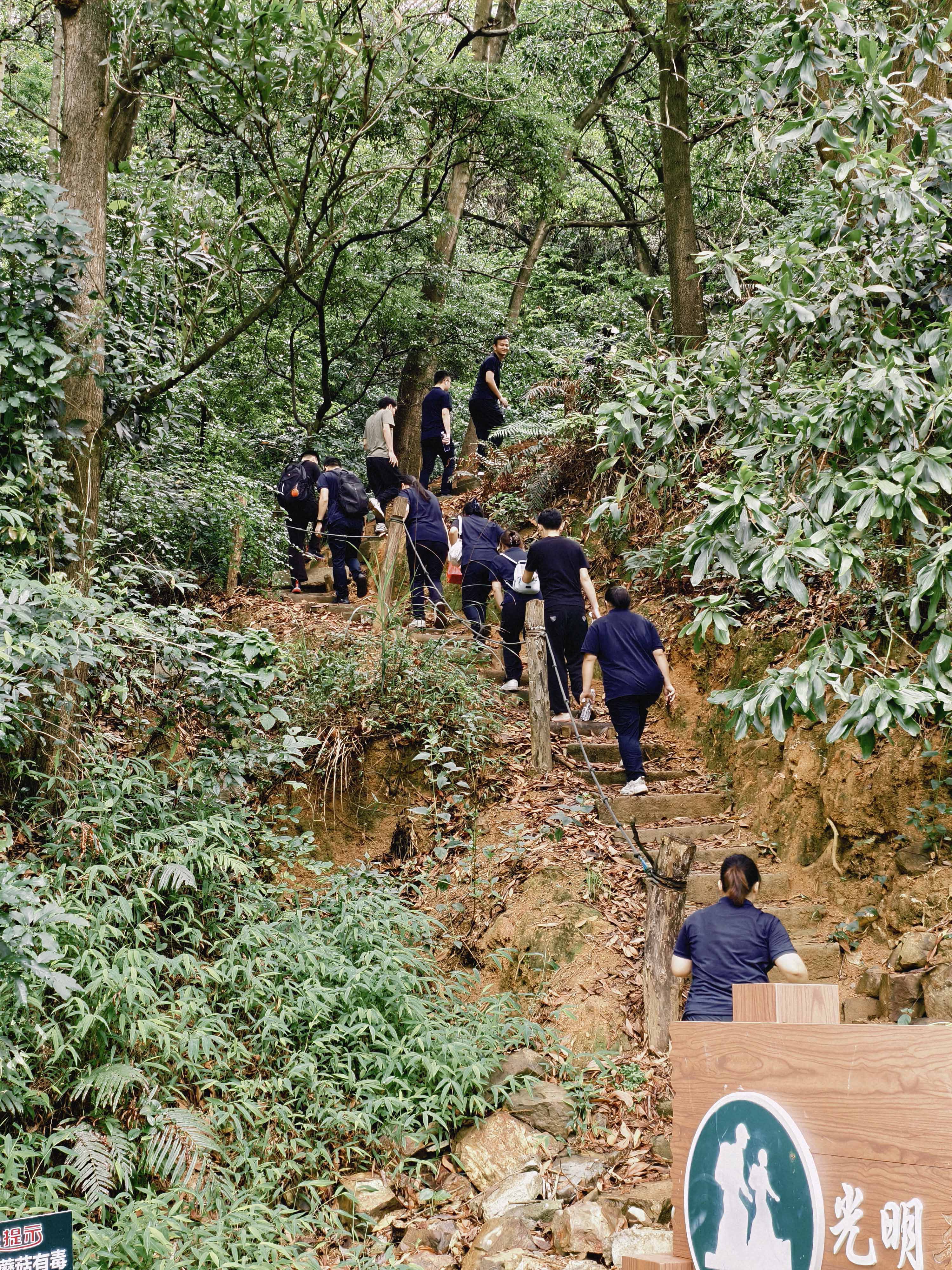 久信達科技公司員工齊聚光明區(qū)蠄蜍石，開啟活力爬山之旅暨團建活動(圖2)